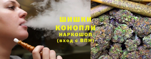 стаф Зеленодольск