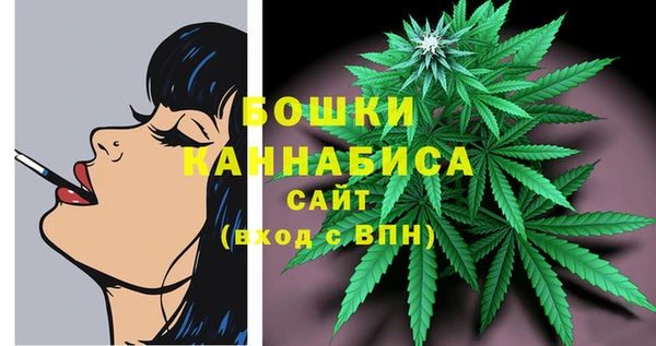 стаф Зеленодольск
